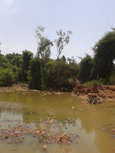 Photos of Crocodile Parc Bangr Weogo