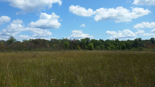Jeptha Lake Fen - Thumbnail