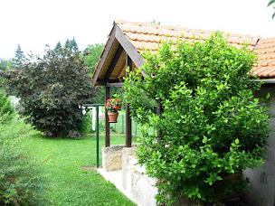 Photo n°11 de Hotel Chambres d hotes La maison Des Chiens Verts à Plateau d'Hauteville (Chambre d'hôtes)