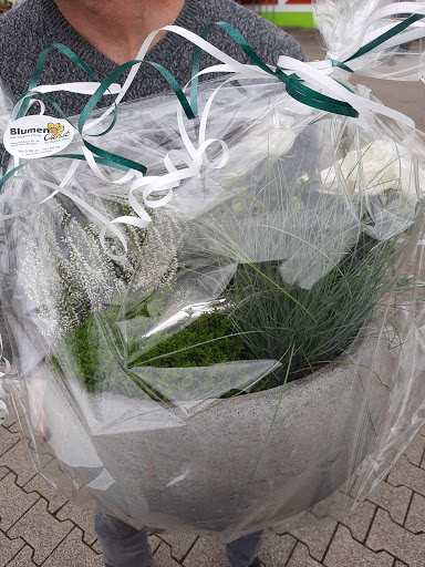 Blumen Christ - Visual