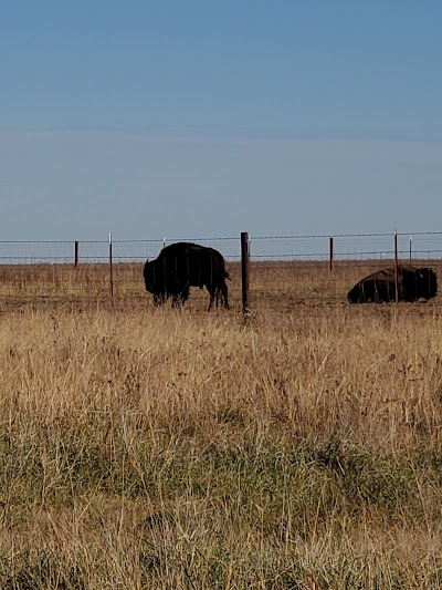 Joseph H. Williams Tallgrass Prairie Preserve