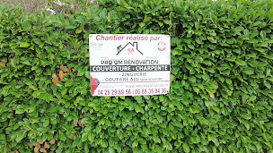 Photo n°8 de SAS PRO'GM Rénovation depuis 1995 ( Couverture , Zinguerie, Charpente, Démoussage ) à Tassin-la-Demi-Lune (Charpentier)