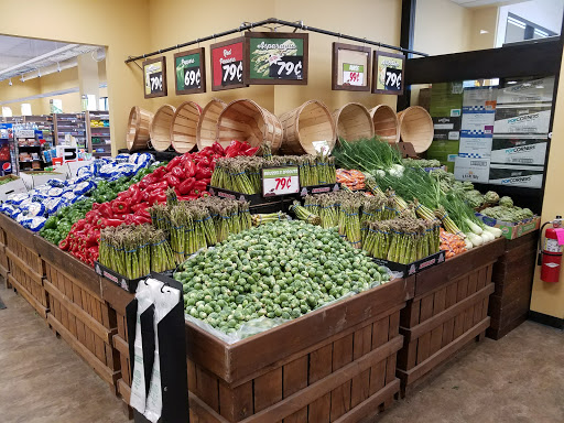 Greenlawn Plaza Gallery - United States