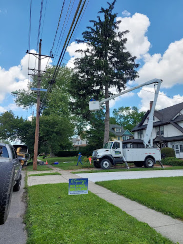 Figuemax Tree Service, LLC