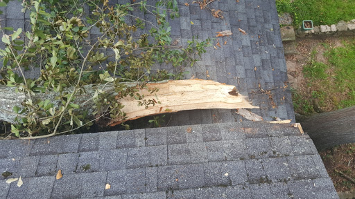 Andrew's Tree Service Logo