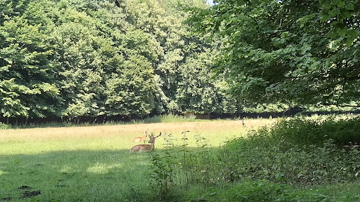 Freiherr - von Wintzingerrode Park - Thumbnail