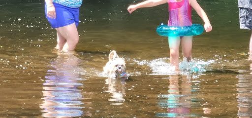 Sandy Beach Dog Park - Thumbnail