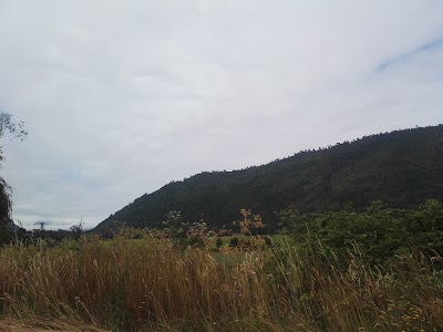 Photos of Caba&ntilde;as El Faisan