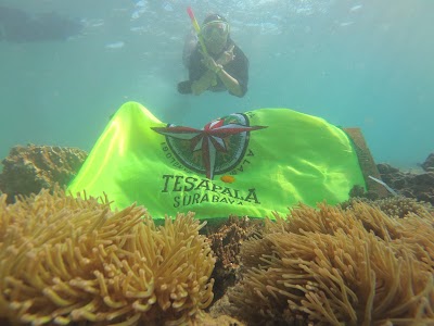 Photos of Gili ketapang jatim