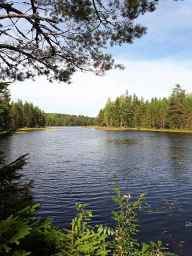 Kullgärdet Bjursås - Thumbnail