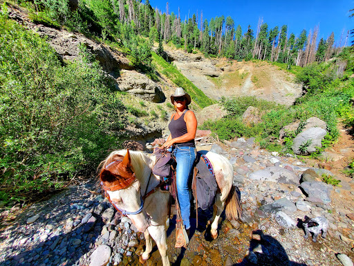 Katie Betts, Best of Pagosa Springs Real Estate - Thumbnail