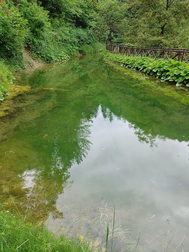 Percorso Natura Premilcuore