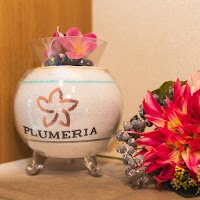 エステ・リラクゼーション プルメリア