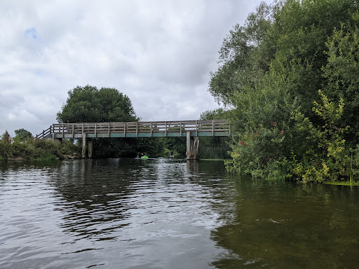 Eye Bridge - Visual