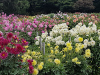 Portland Botanical Gardens