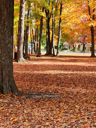Palmer Park Mancelona Mi - Thumbnail