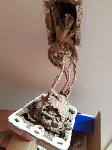 Termite Doctors - Thumbnail