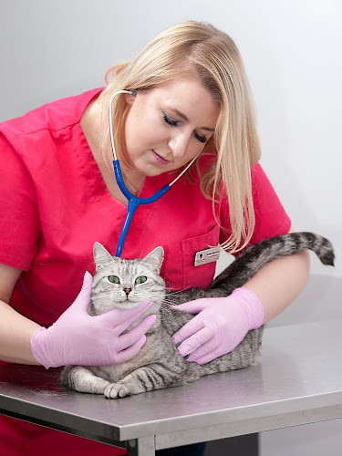 Komentarze i opinie o Animal Care Center