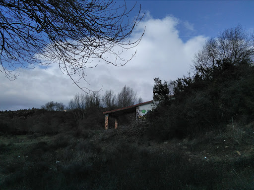 Refugio Liedena - Visual