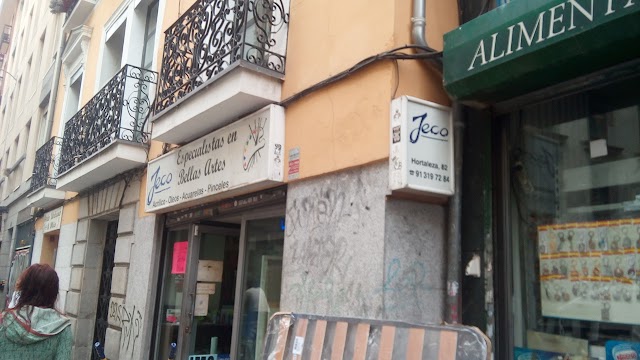 Bellas Artes Jeco S.l.