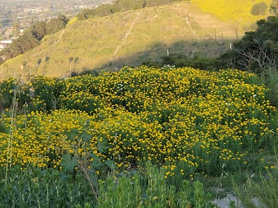 Baldwin Hills Scenic Overlook