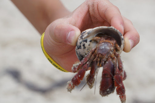 Vámonos Puerto Rico