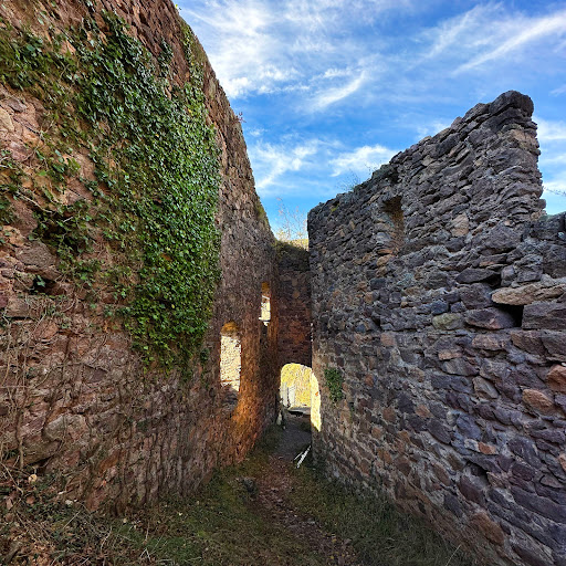 Greinfenstein Castle - Thumbnail