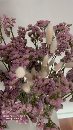 Avaliações doPlantas Com Amor - Clara de Sousa em Entroncamento - Floricultura