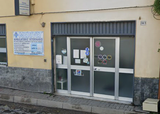 Medivet Ambulatorio Veterinario