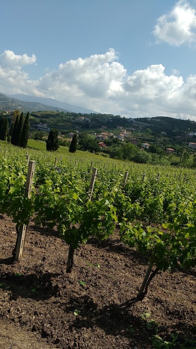 Photos of Tours&Transfers-Taxi in Castellabate