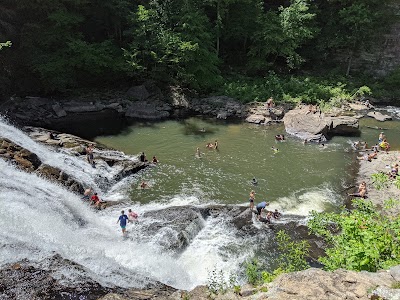 Betty Dunn Nature Center