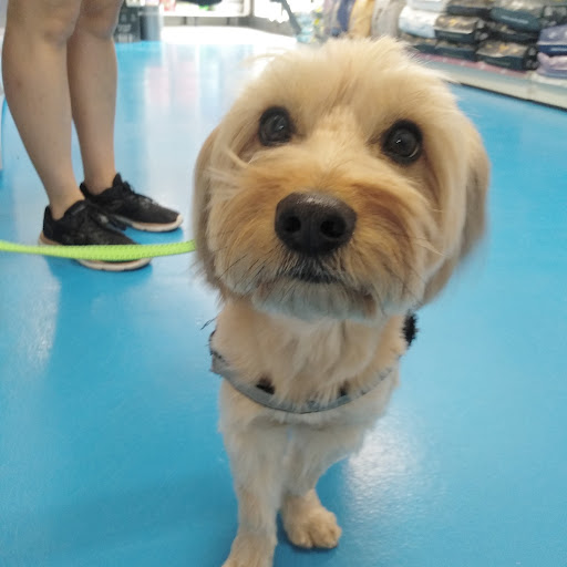 Centro Veterinario Animalia