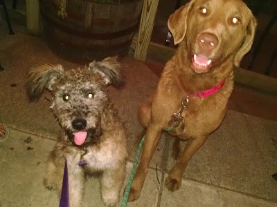 Photos of Odd Side Ales