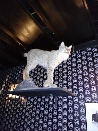 Photos of Pub Pikkup&auml;ssi