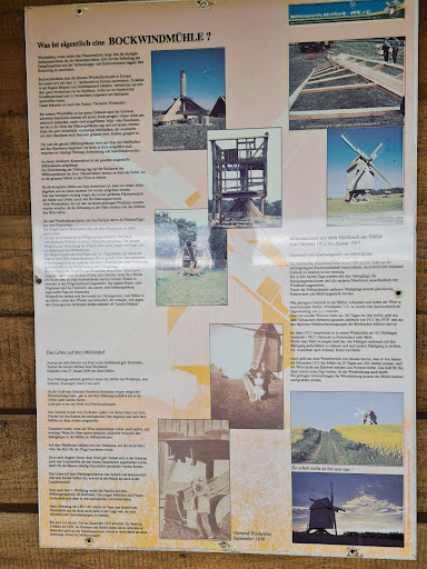 Haus vorm Wald - Visual