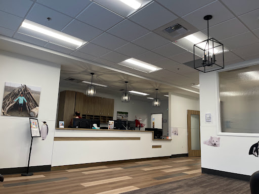 Allegro Pediatrics - Bothell - Visual