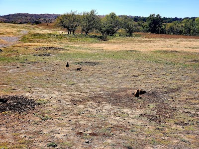 Prairie Dog Town