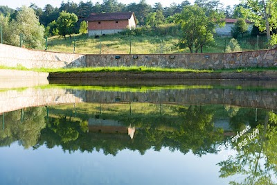 PinarbaSi Belediyesi