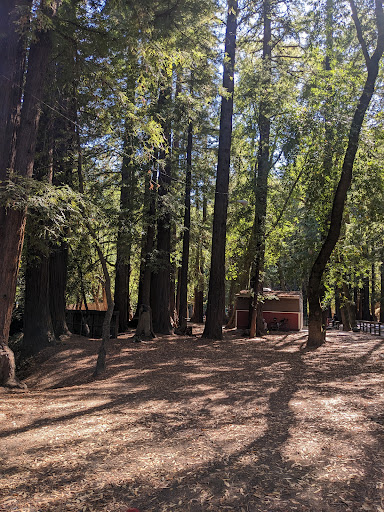 Dolliver Park - Thumbnail