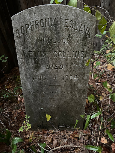Eslava Family Cemetery - Thumbnail