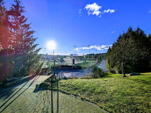 Town Centre Park - Thumbnail