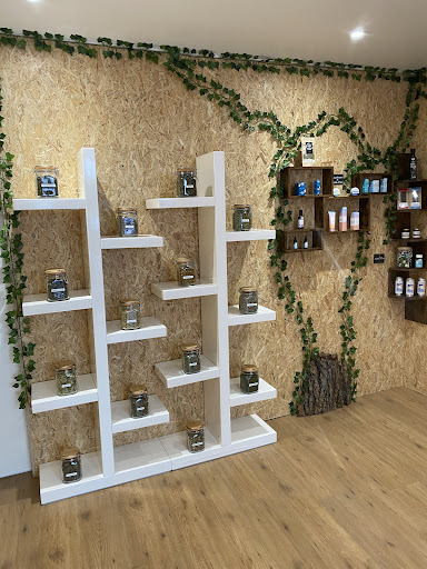 L’arbre de vie ( CBD shop ) - Thumbnail