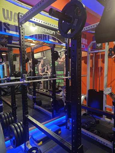 Gallery image 17