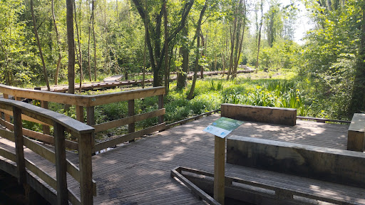 Passerelle des Marais de Moult-Chicheboville/Bellengreville/Vimont - Thumbnail