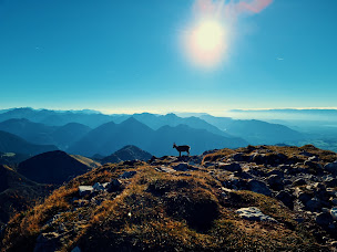 Photo n°1 de MJ Prévention - formation et conseil Santé Sécurité au Travail à Thonon-les-Bains (Sécurité et santé au travail)