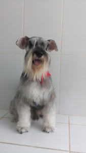 CLÍNICA VETERINARIA GARCÍA 0