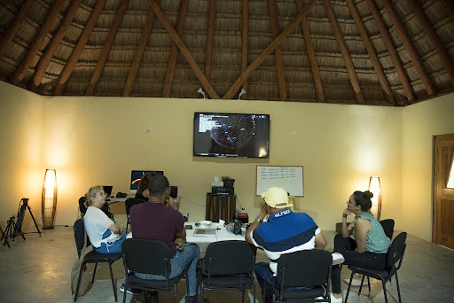 Pigmo Agencia Creativa