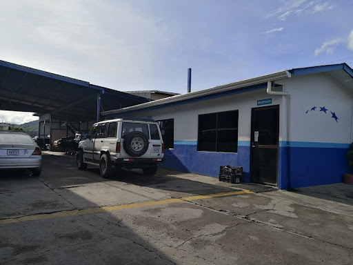 Centro Automotriz Cañas