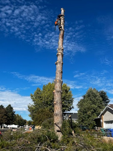 Riverton Tree Services