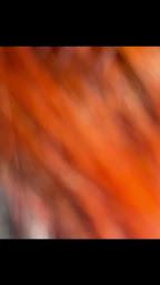 Photo n°4 de L'Annexe By Dimitri Vial à Roanne (Barbier)